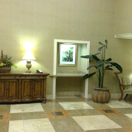 Royal Palms Apartment Briarcliffe Acres 外观 照片