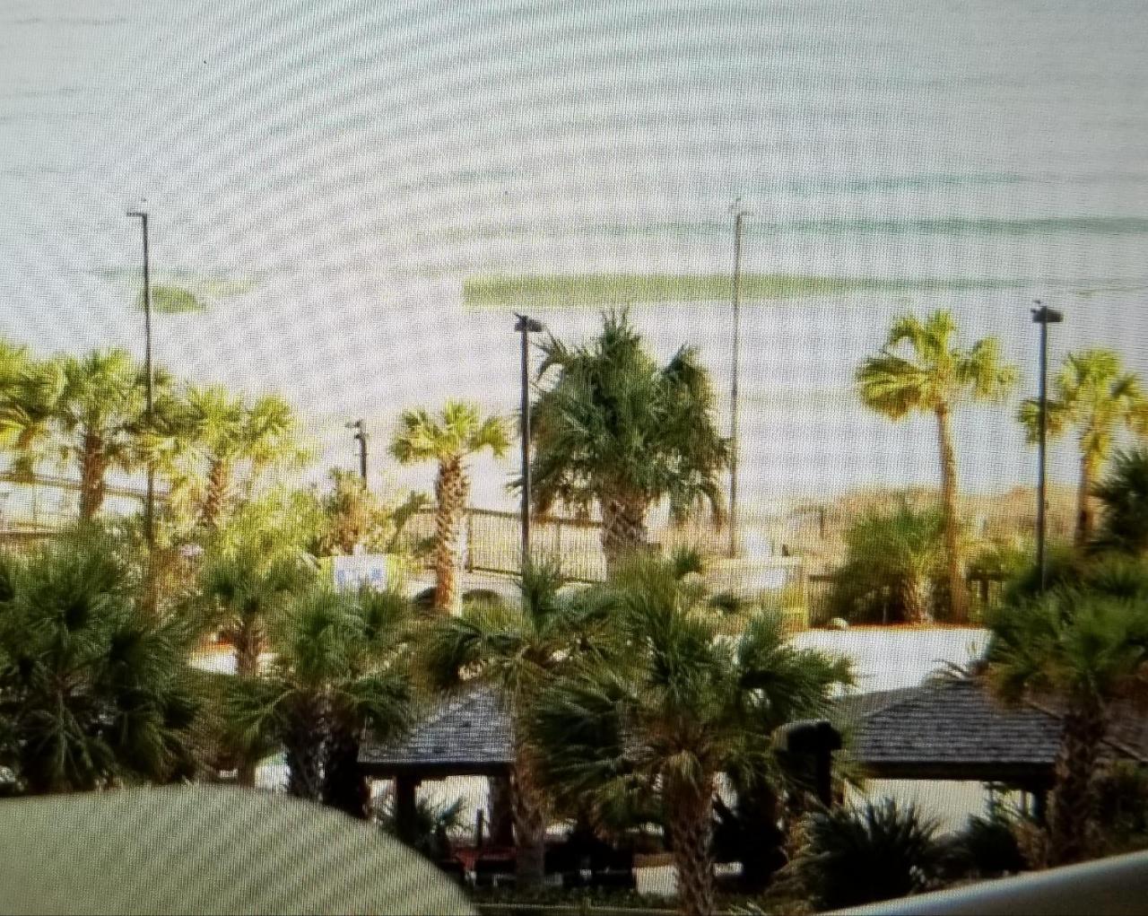 Royal Palms Apartment Briarcliffe Acres 外观 照片
